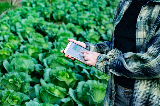Pesticide Management Made Easier: Find the Correct Pesticide Labels