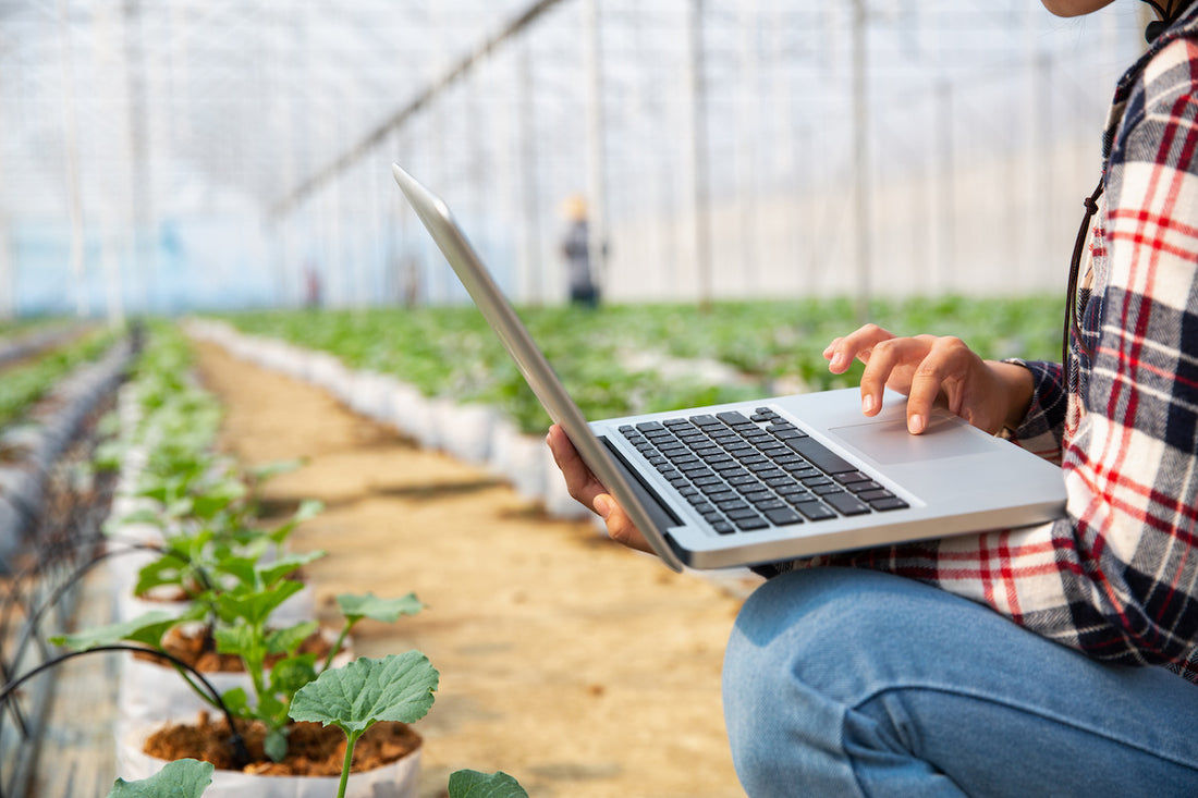 The Advantages of Using IPM Software for Your Pest Management Needs